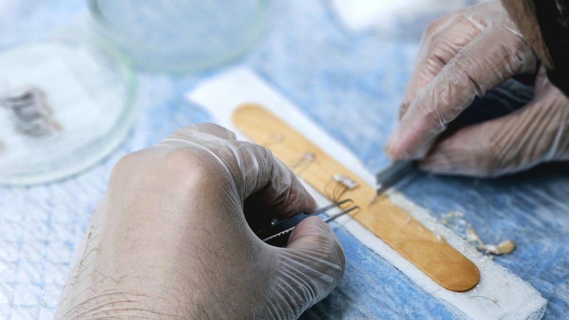 pexels-drmkhawarnazir-27138343